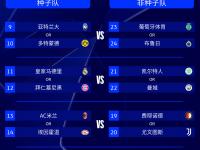 乐鱼体育app-来世俱杯看欧冠决赛！欧洲9队晋级16强，8强潜在的简单介绍