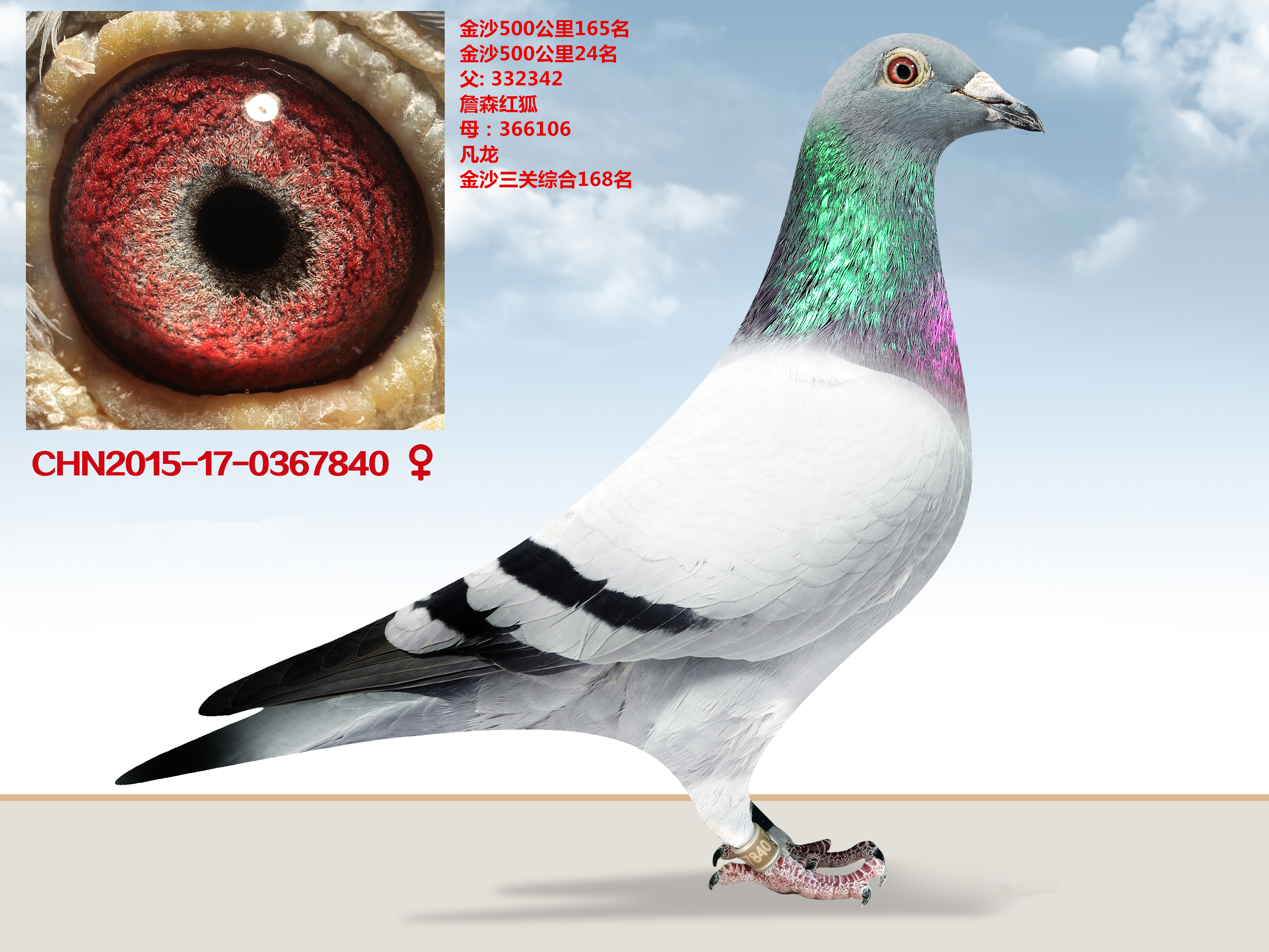 欧洲预选赛半年轮回战打响，各路豪强争霸