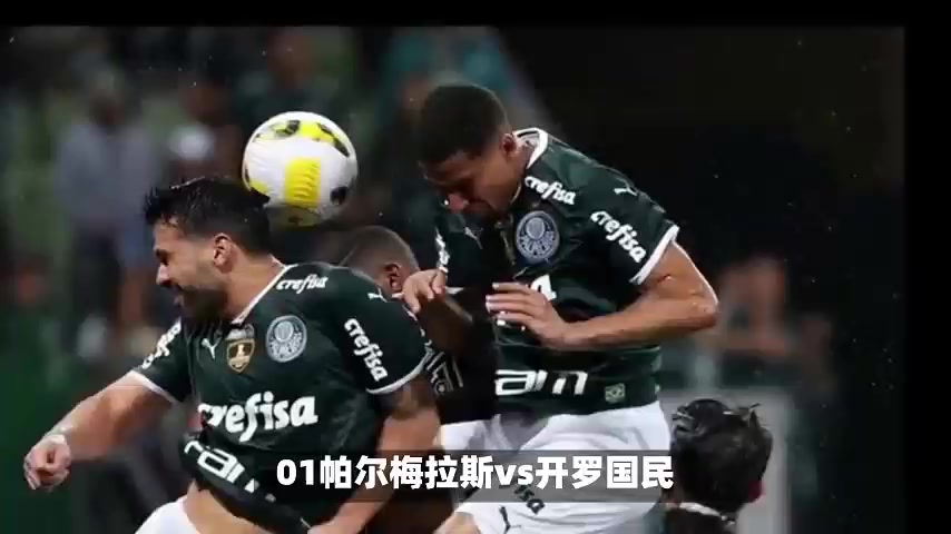 帕尔梅拉斯主教练称赞球队拼搏精神，期待突破的简单介绍