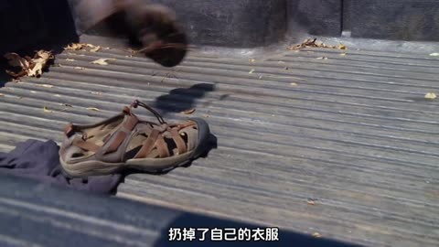 瑞士挑战保加利亚，欧预赛全面解析
